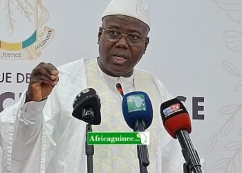 Traque des avoirs publics: près de 28 milliards GNF récupérés par l&rsquo;Etat .