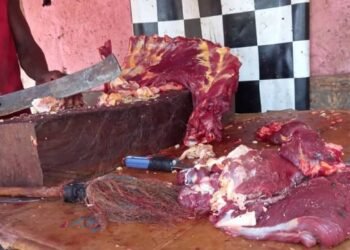 Guinée: Crise de la viande