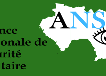 Guinée: Conakry au centre de la propagation épidémiologique.      