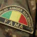 Mali : l’armée annonce la destruction de trois bases terroristes