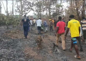 Kindia : une guérisseuse traditionnelle perd la vie dans un feu de brousse à Yeintè