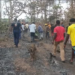 Kindia : une guérisseuse traditionnelle perd la vie dans un feu de brousse à Yeintè