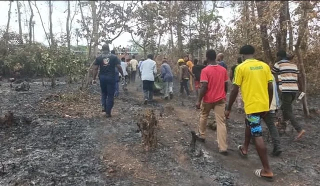 Kindia : une guérisseuse traditionnelle perd la vie dans un feu de brousse à Yeintè