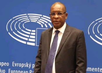 Diplomatie et Gouvernance : Le Général Sékouba Konaté salue l’implication du Président Mamadi Doumbouya après sa nomination à la tête de Nouvelle Perspective Suisse