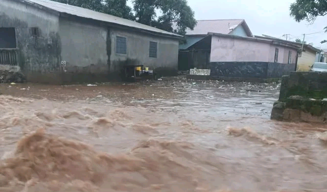 Drame à Conakry : emporté par les eaux de ruissellement, un jeune marchand ambulant perd la vie à Gbessia