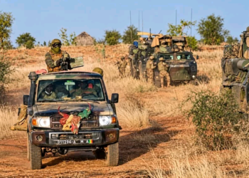 Mali : les FAMa et l’Africa Corps russes neutralisent plusieurs positions terroristes