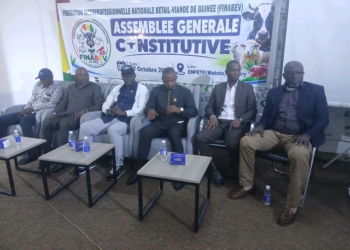 Guinée : la FINABEV tient son Assemblée générale constitutive pour structurer la filière bétail-viande