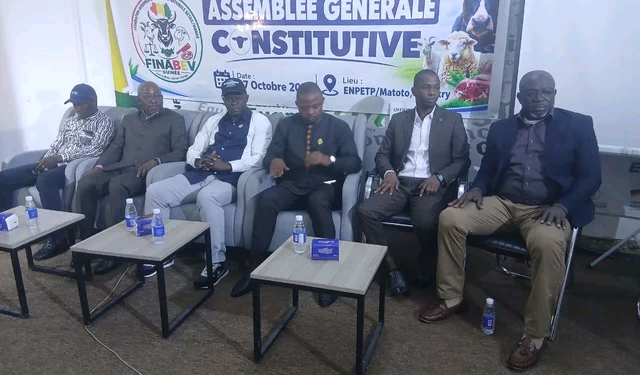 Guinée : la FINABEV tient son Assemblée générale constitutive pour structurer la filière bétail-viande