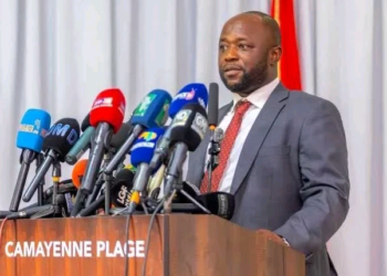 Environnement et développement durable : le gouvernement guinéen réaffirme ses engagements