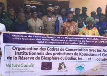 Parc national du Badiar : une concertation pour renforcer la protection de la biodiversité