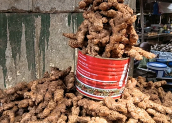 Conakry : le prix du gingembre s’envole, le kilogramme atteint 80 000 francs guinéens