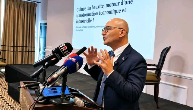 Guinée : 200 millions de tonnes de bauxite attendues à l’exportation en 2026, selon Fadi Wazni